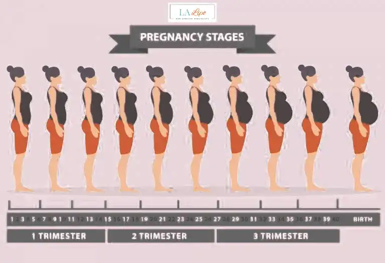 First Trimester (Weeks 1–12): Early Changes You Might Not Notice Portsmouth
